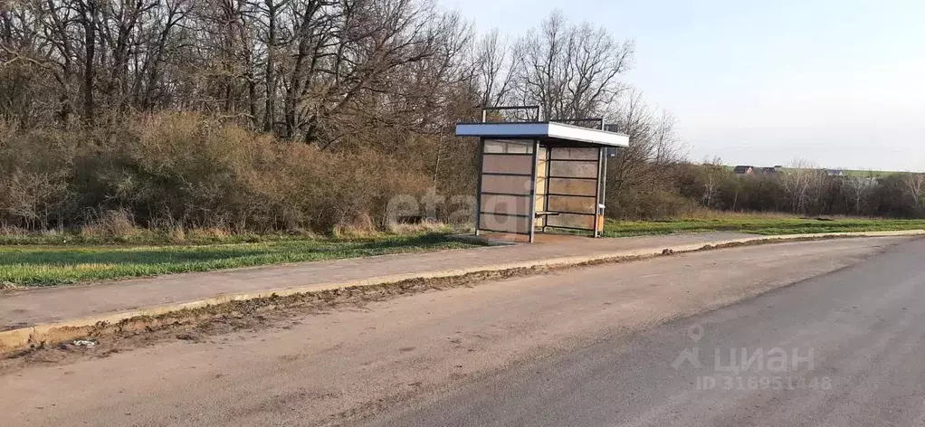 Участок в Белгородская область, Белгородский район, с. Стрелецкое пер. ... - Фото 0