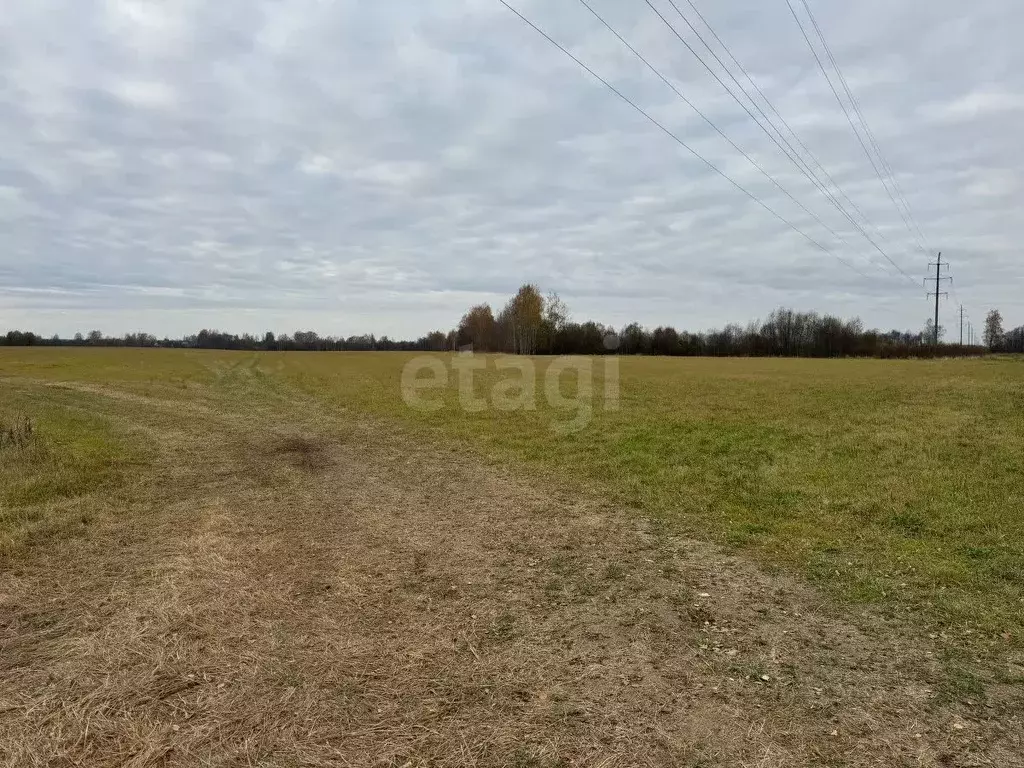 Участок в Костромская область, Красносельский район, Шолоховское ... - Фото 1