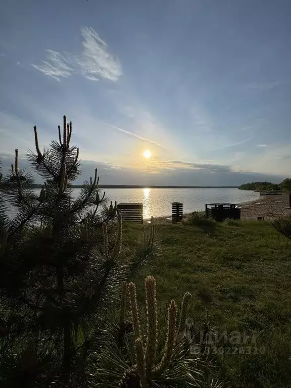 Участок в Тверская область, Конаково Пригородная ул. (8.0 сот.) - Фото 2