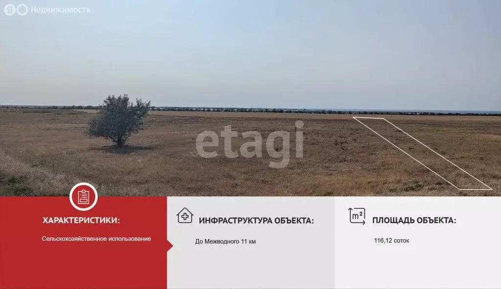 Участок в Черноморский район, Межводненское сельское поселение, село ... - Фото 0