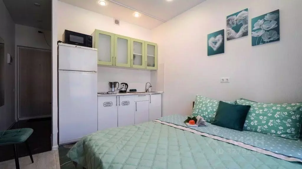 1-к кв. Московская область, Звенигород Одинцовский городской округ, ... - Фото 2