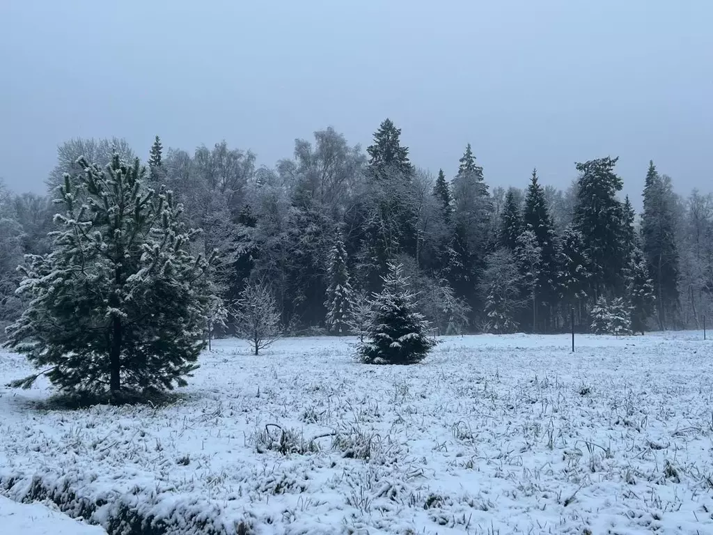 Участок в Московская область, Истра муниципальный округ, д. Дубровское ... - Фото 1