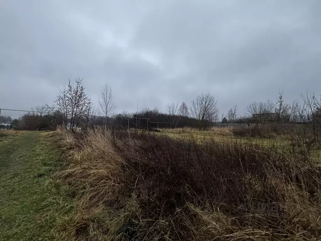 Участок в Нижегородская область, Павловский район, с. Большое Давыдово ... - Фото 2
