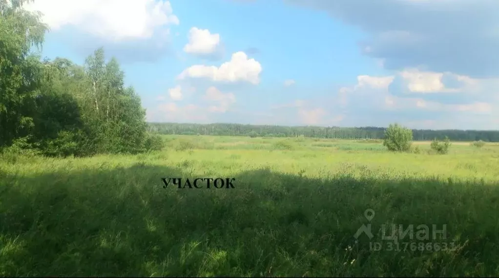 Участок в Липецкая область, Липецкий муниципальный округ, с. Подгорное ... - Фото 0