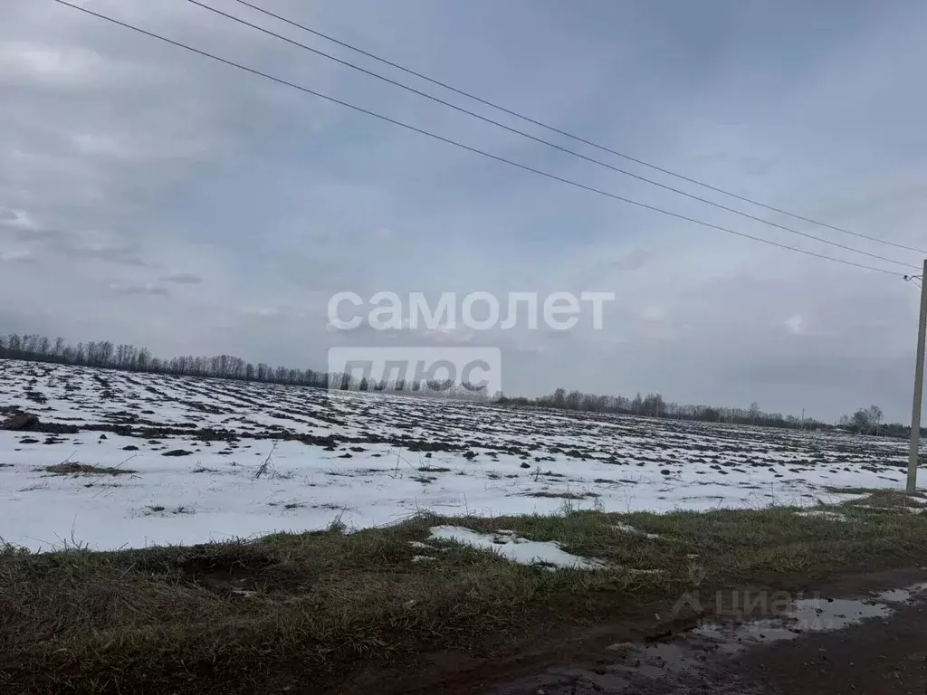 Участок в Марий Эл, Медведевский район, Руэмское с/пос, д. Крутой ... - Фото 2