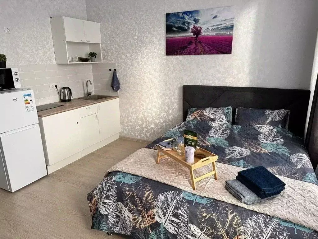 1-к кв. Свердловская область, Екатеринбург ул. Амундсена, 5 (27.0 м) - Фото 1