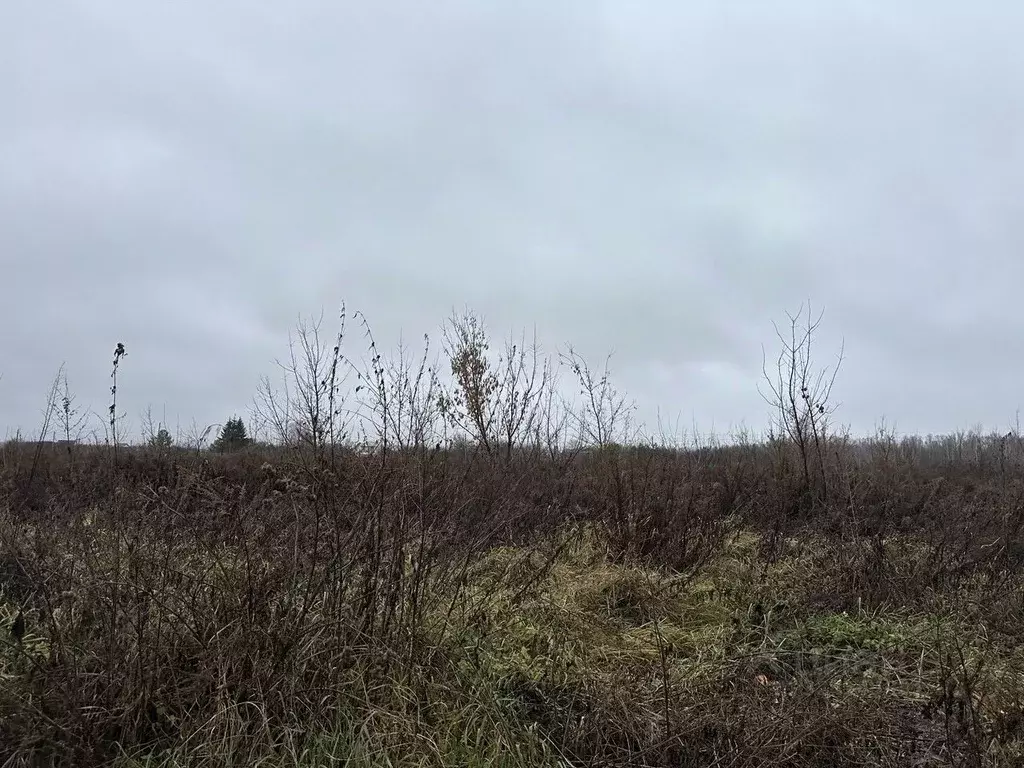 Участок в Московская область, Серебряные Пруды муниципальный округ, с. ... - Фото 2