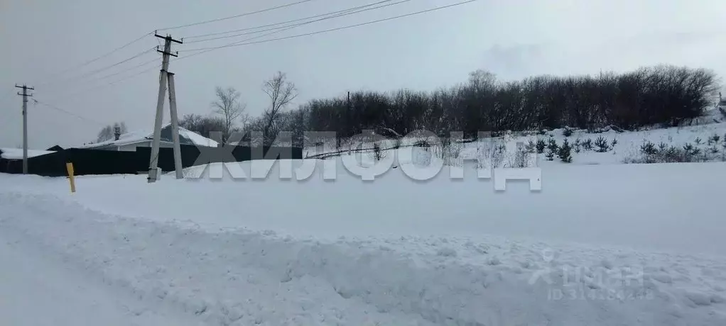 Участок в Кемеровская область, Кемеровский муниципальный округ, с. ... - Фото 0