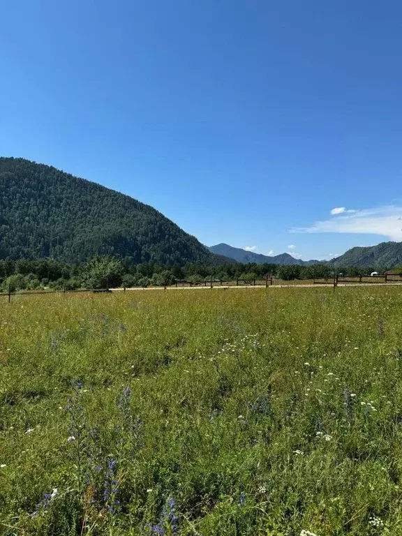 Участок в Алтай, Чемальский район, Узнезинское с/пос, с. Узнезя  ... - Фото 1