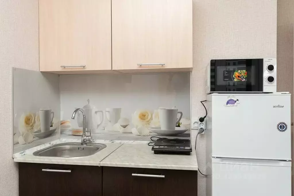 Студия Новосибирская область, Новосибирск ул. Бородина, 54 (32.0 м) - Фото 1