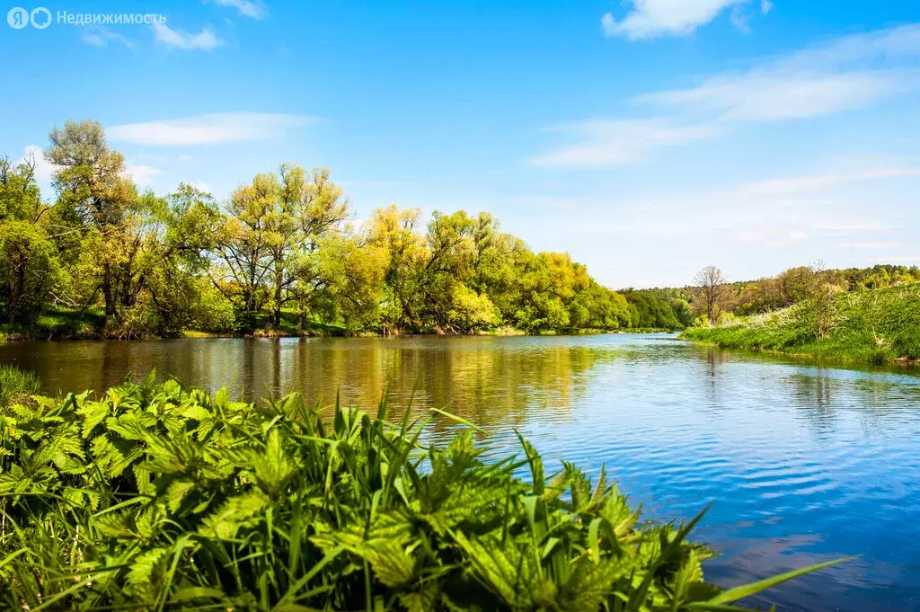 Участок в Московская область, городской округ Ступино, территория ТСН ... - Фото 2