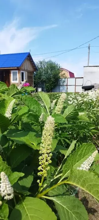 Дом в Тюменская область, Тюменский муниципальный округ, Боровое ПСО ... - Фото 1