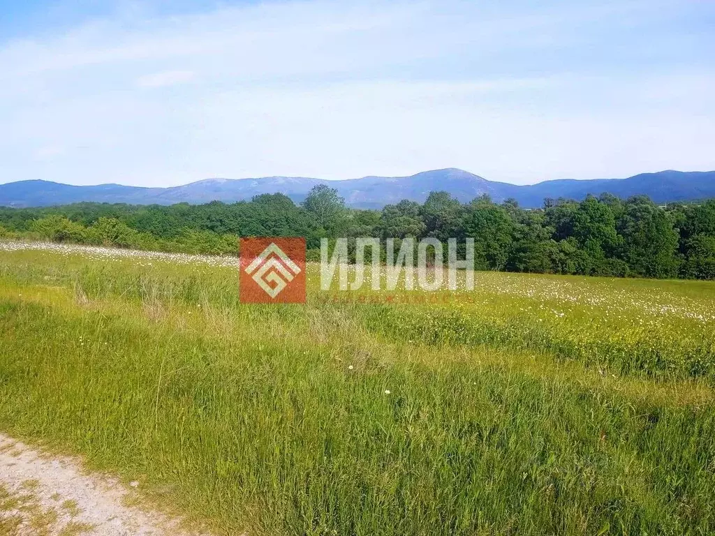 Участок в Севастополь с. Павловка, пер. Лебединый, 2 (170.0 сот.) - Фото 2