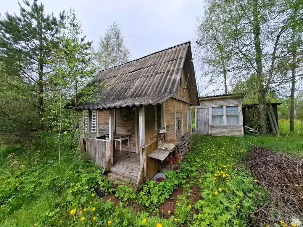 Участок, 12 сот., сельхоз (снт или днп) - Фото 0