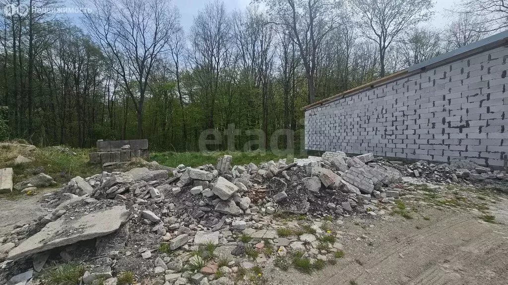 Участок в Гурьевск, ГК Дубки (1.968 м) - Фото 1