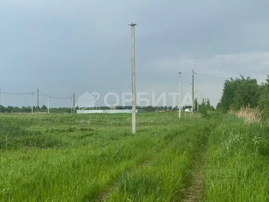 Участок в Тюменская область, Тюмень Большое Царево-1 СНТ,  (10.0 сот.) - Фото 1