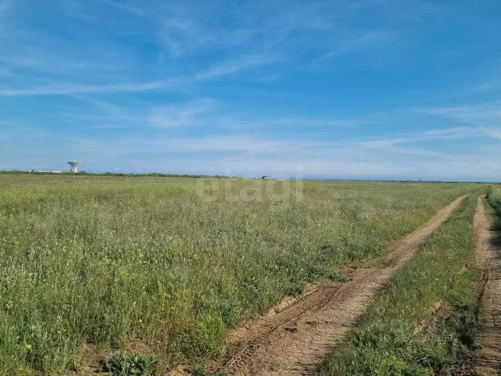 Участок в Крым, Сакский район, с. Молочное  (23.99 сот.) - Фото 0