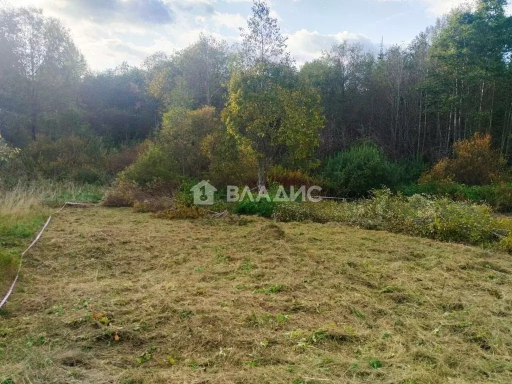 Участок в Ленинградская область, Лужский район, Мшинское с/пос, д. ... - Фото 1