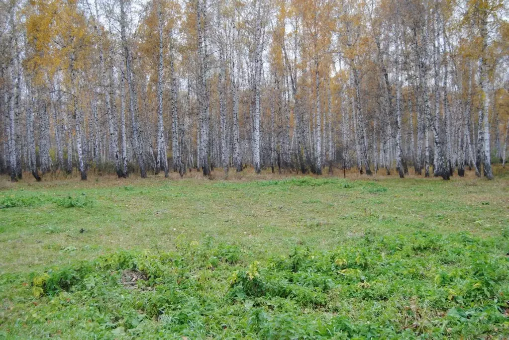 Участок в Челябинская область, Сосновский муниципальный округ, д. ... - Фото 2