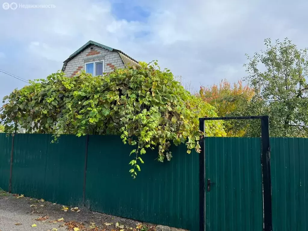 Дом в Белгородская область, Алексеевский муниципальный округ, СНТ Луч, ... - Фото 2