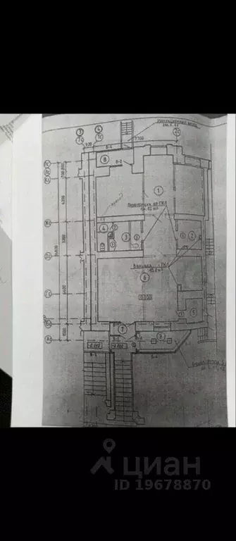 Помещение свободного назначения в Удмуртия, Ижевск Пушкинская ул., 116 ... - Фото 2