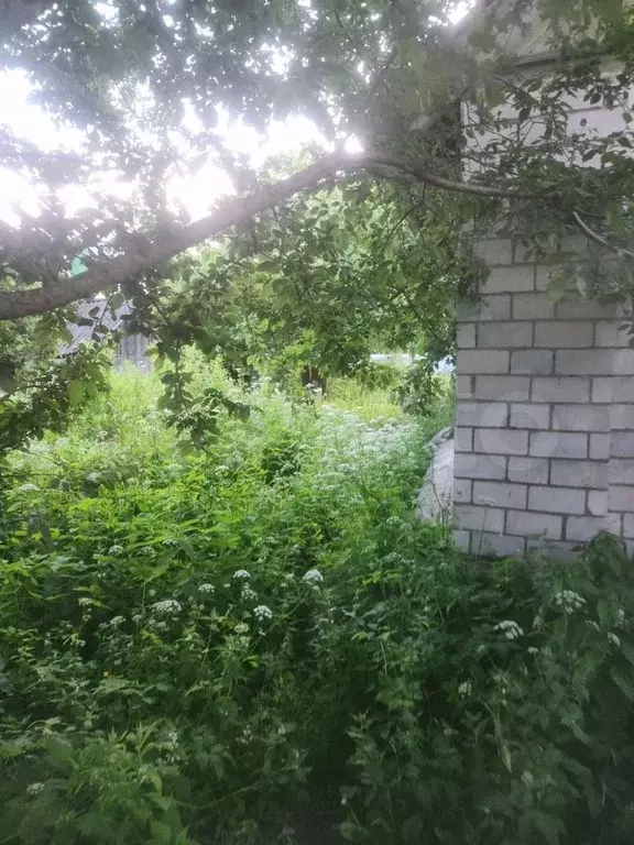 Дом 50 м на участке 10 сот. - Фото 1