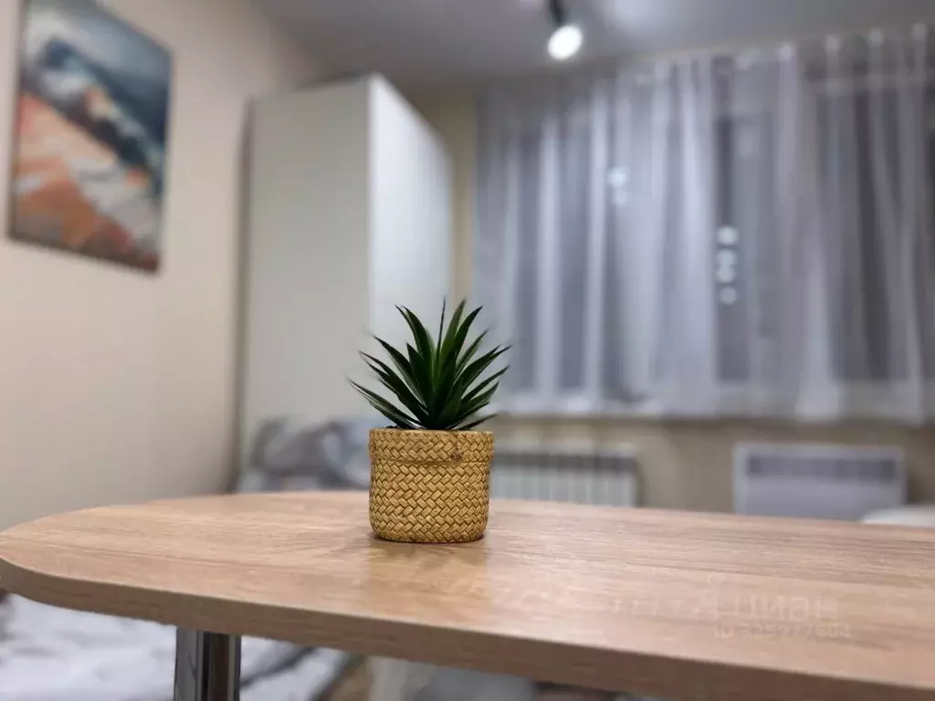 Студия Москва д. Тупиково,  (17.6 м) - Фото 1