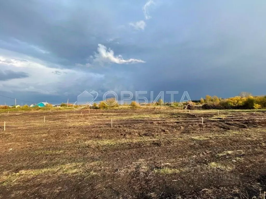 Участок в Свердловская область, Тугулымский муниципальный округ, с. ... - Фото 1