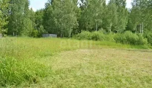 Участок в Свердловская область, Верхняя Пышма городской округ, пос. ... - Фото 2