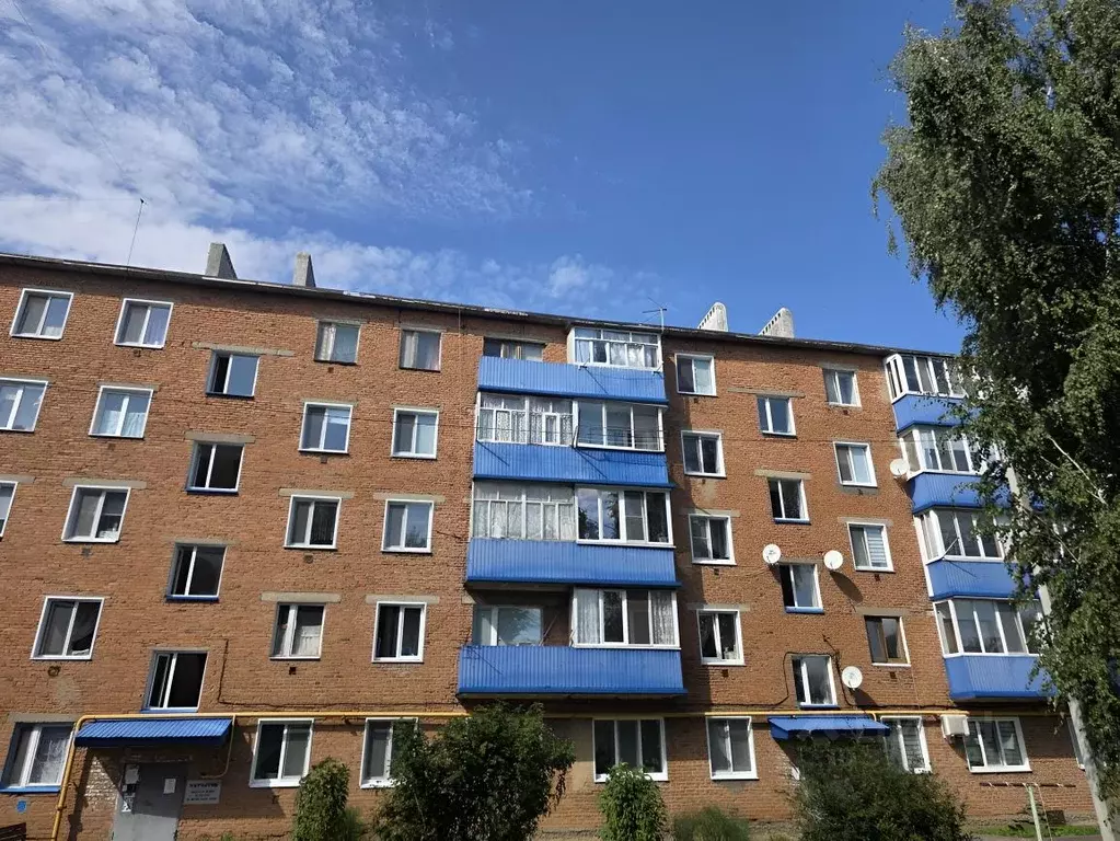 3-к кв. Татарстан, Чистополь ул. Мира, 24 (56.4 м) - Фото 1