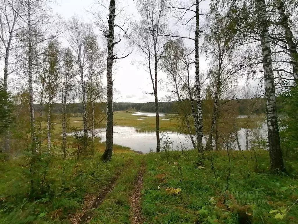 Участок в Новосибирская область, Искитимский район, с. Морозово ул. ... - Фото 1