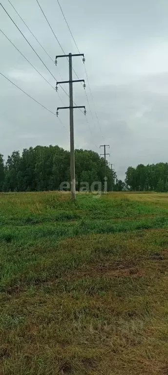 Участок в Челябинская область, Сосновский район, пос. Рощино  (250.0 ... - Фото 0