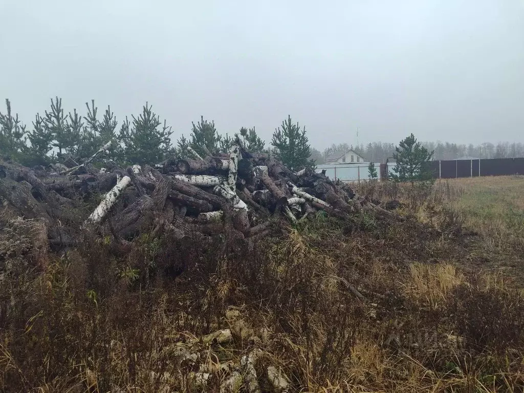 Участок в Московская область, Орехово-Зуевский городской округ, д. ... - Фото 2