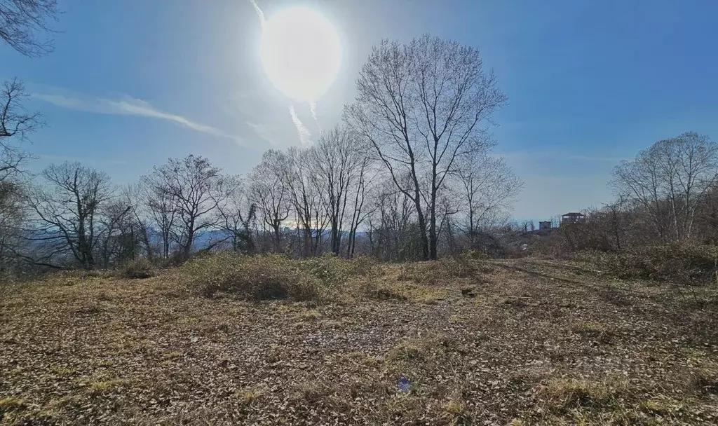 Участок в Краснодарский край, Сочи городской округ, с. Богушевка ул. ... - Фото 1