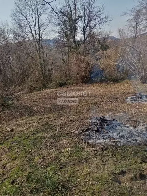 Участок в Краснодарский край, Сочи городской округ, с. Вардане-Верино, ... - Фото 0