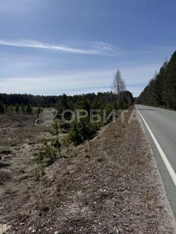 Участок в Свердловская область, Слободо-Туринский район, ... - Фото 0