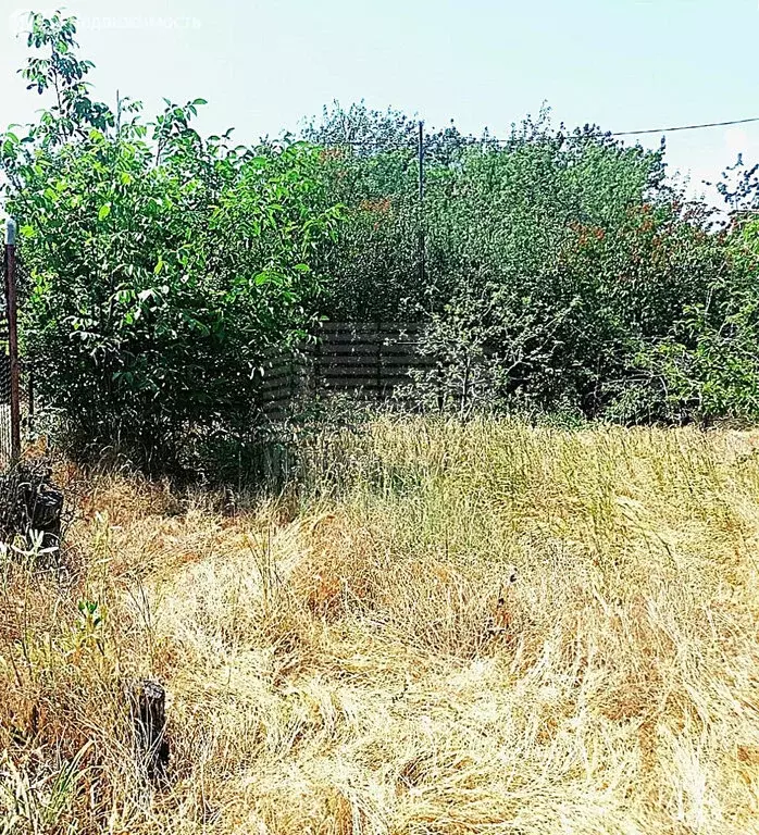 Участок в Таганрог, поселок Вечность, Большая Лиманная улица (9 м) - Фото 1