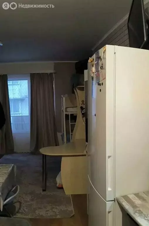 Квартира-студия: Адлер, улица Голубые Дали, 78/1 (28 м) - Фото 2