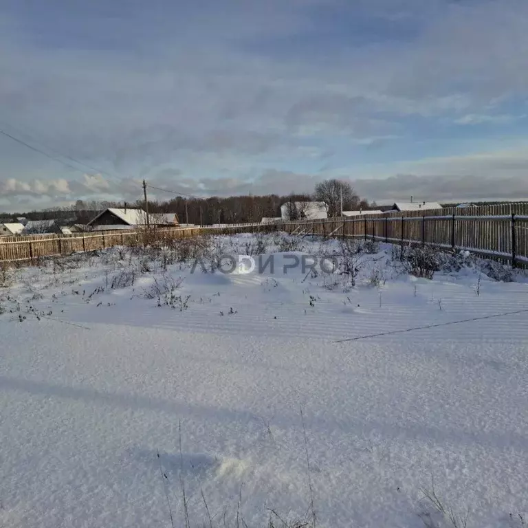 Участок в Кировская область, Кирово-Чепецкий район, с. Пасегово ... - Фото 2