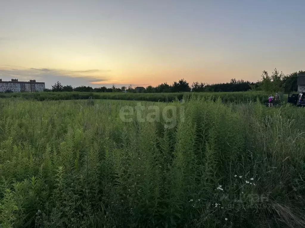 Участок в Брянская область, Брянск СО Ласточка тер.,  (8.0 сот.) - Фото 0