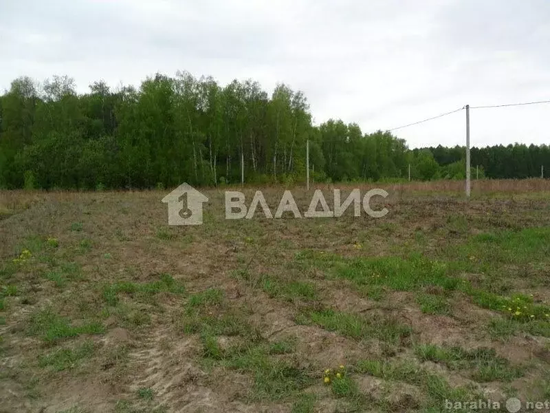 Участок в Калининградская область, Гурьевский муниципальный округ, ... - Фото 1