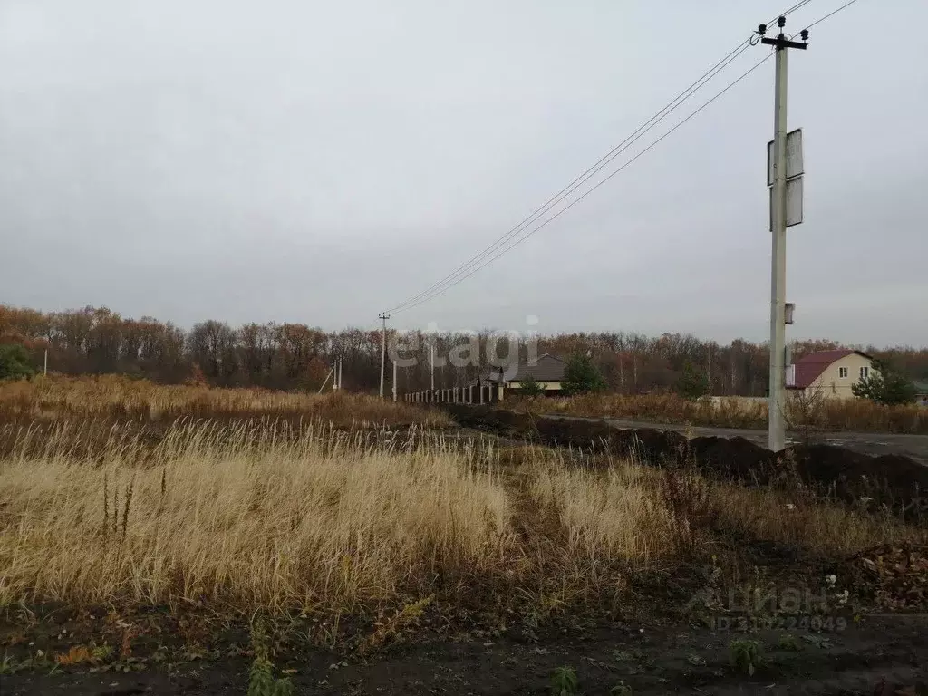 Участок в Курская область, Курский район, Моковский сельсовет, д. ... - Фото 0