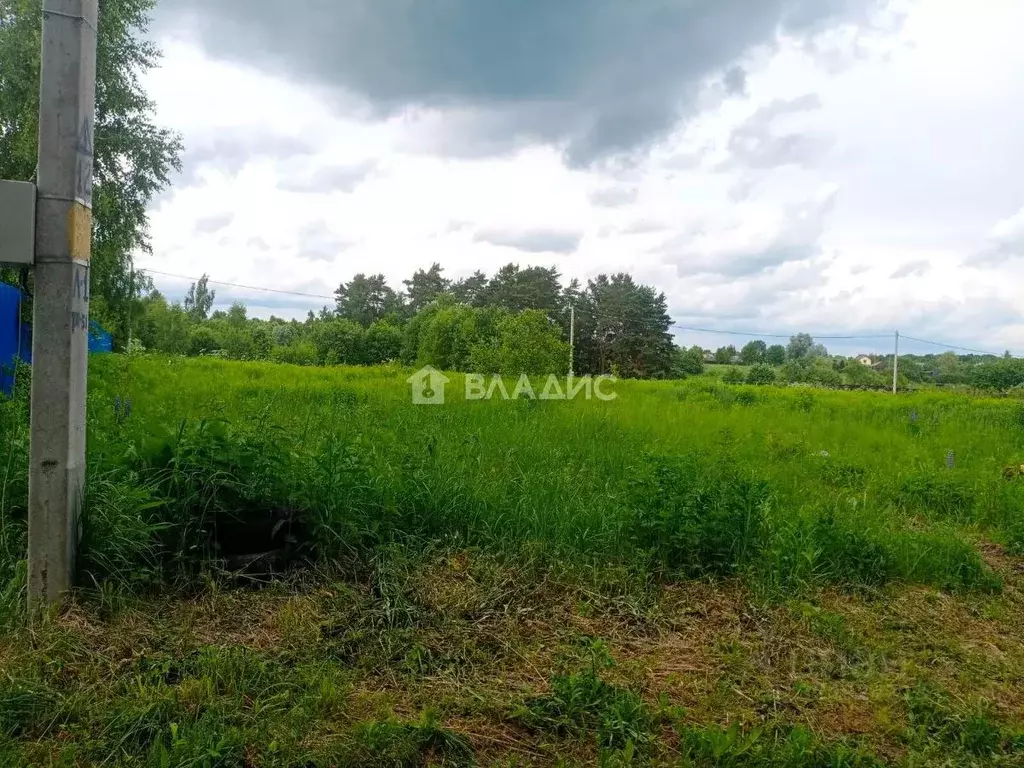 Участок в Калужская область, Калуга д. Волково, ул. Лиственная, 4 ... - Фото 2
