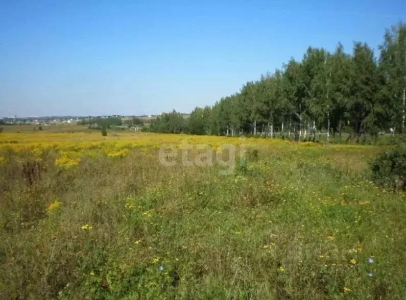 Купить Участок В Туле В Пролетарском