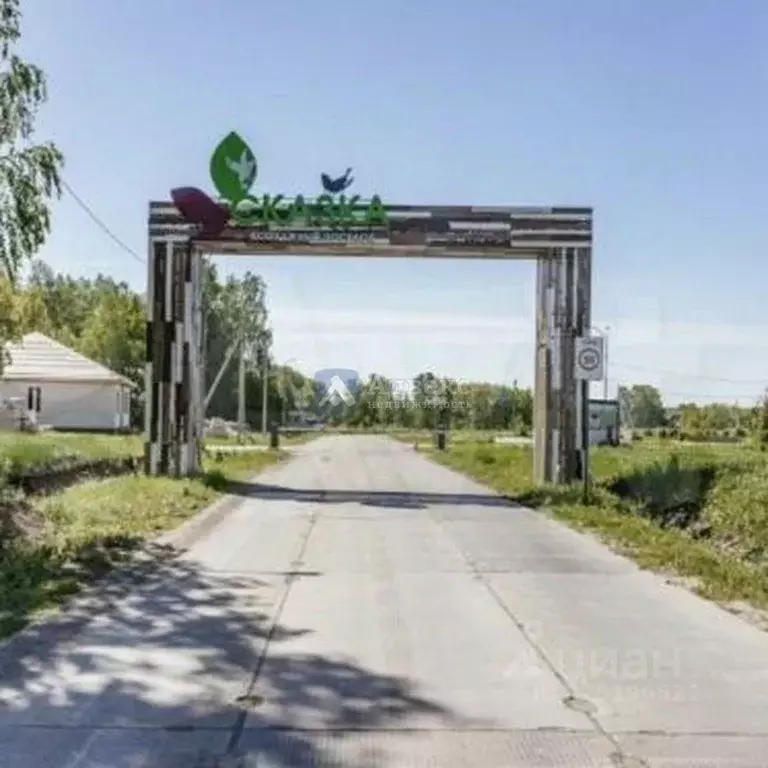 Участок в Тюменская область, Тюменский муниципальный округ, с. Кулига ... - Фото 2