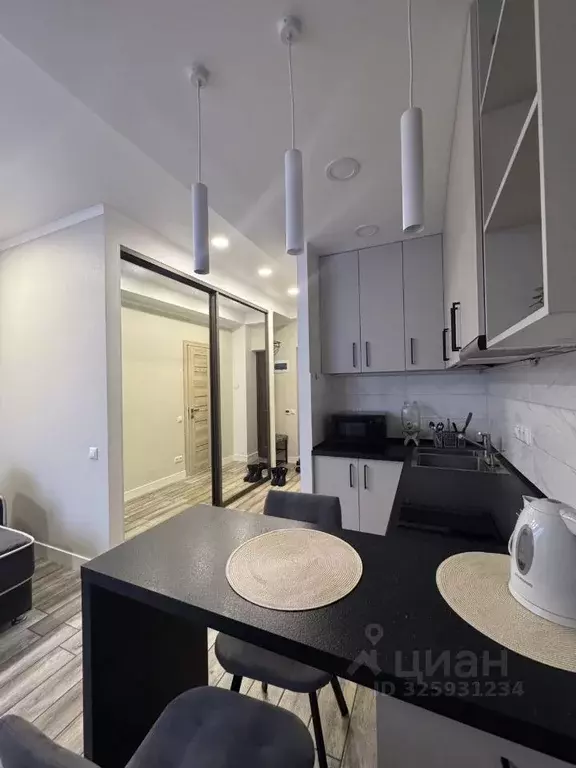 Студия Краснодарский край, Сочи ул. Яна Фабрициуса, 66/5 (23.8 м) - Фото 1