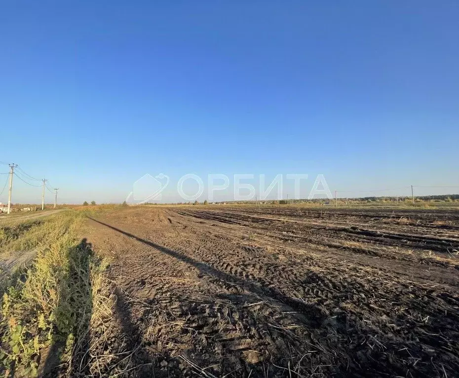 Участок в Тюменская область, Тюменский муниципальный округ, ... - Фото 2