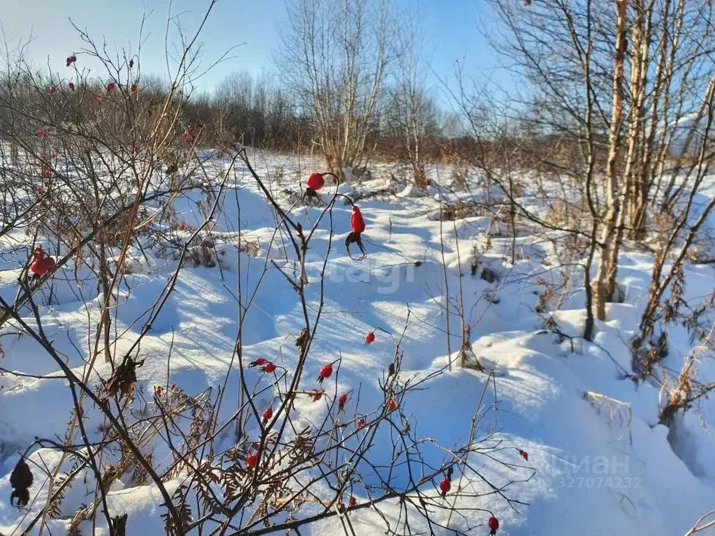 Участок в Камчатский край, Елизовский муниципальный округ, с. ... - Фото 2