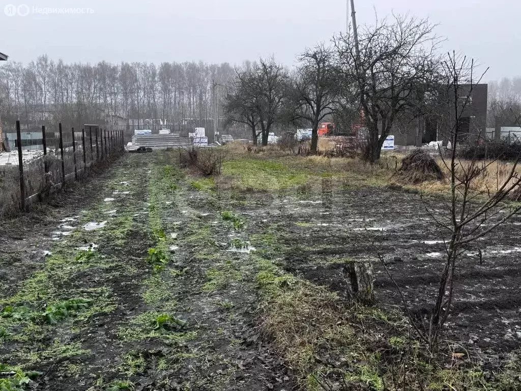Участок в Брянский район, Мичуринское сельское поселение, СДТ ... - Фото 2