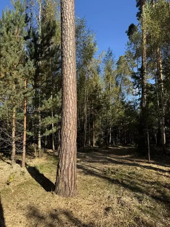 Участок в Московская область, Одинцовский городской округ, пос. ... - Фото 0
